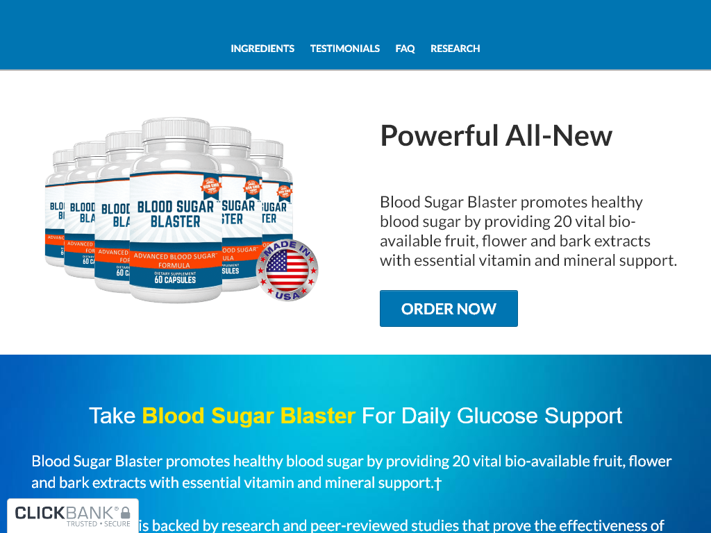 BLOOD SUGAR BLASTER REVIEW | MY 2 WEEK EXPERIMENT RESULTS