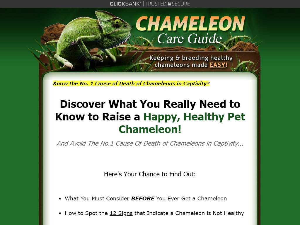 CHAMELEON CARE GUIDE REVIEW | I SAW CHANGES IN REAL TIME