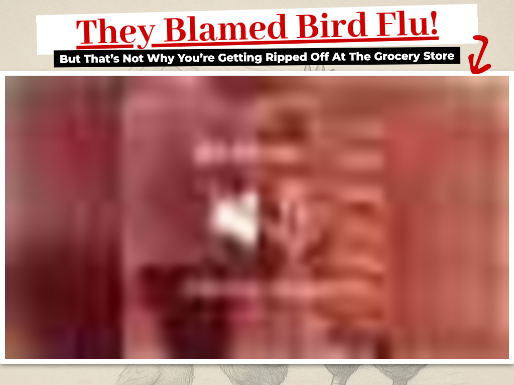 BACKYARD EGGS REVIEW : THE CHANGE IN MY ROUTINE (WEEK 2)