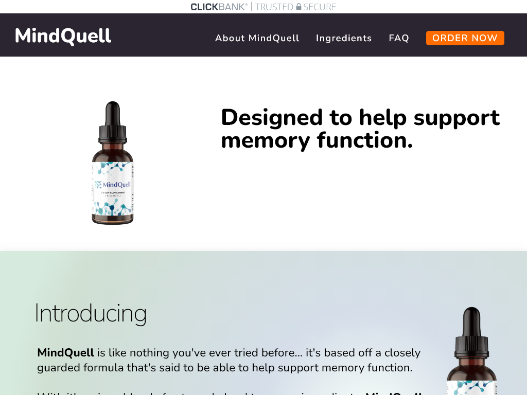 MINDQUELL REVIEW : MY 6 MONTH UPDATE IS SHOCKING