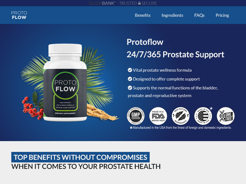 PROTOFLOW REVIEW : MY 2 WEEK STRATEGY REVEALED