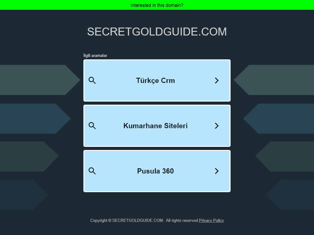 SECRET GOLD GUIDE REVIEW | HOW IT IMPACTED MY ENERGY