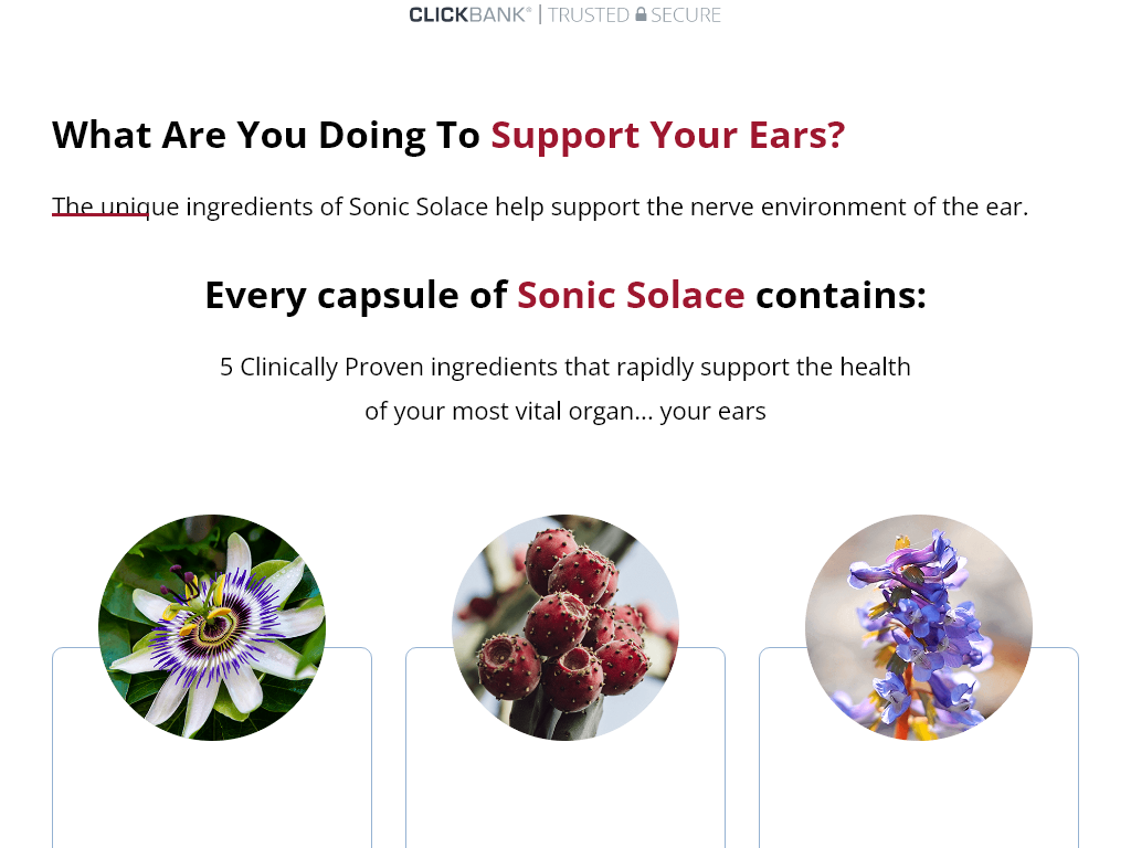 SONIC SOLACE REVIEW: IS THIS THE “SILENT SWITCH” FOR RINGING EARS?