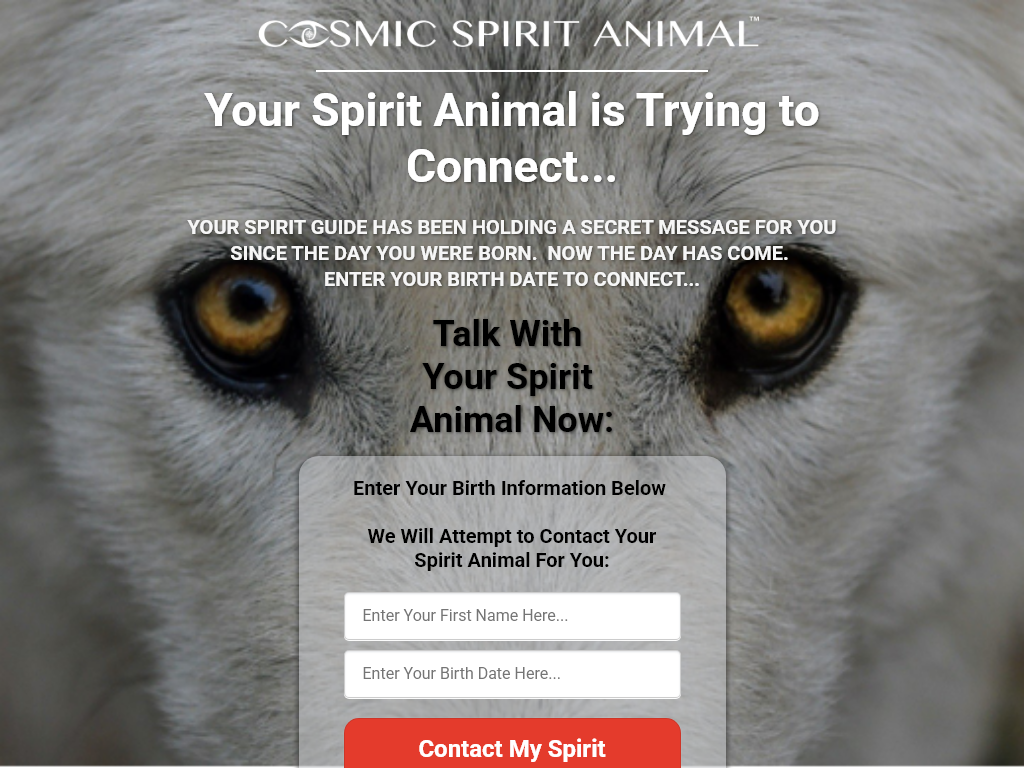 COSMIC SPIRIT ANIMAL REVIEW | WHY I AM CANCELING AFTER 3 MONTHS